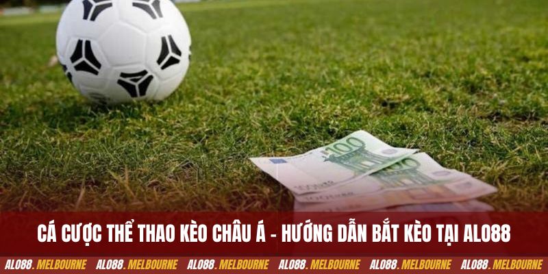 Cá cược thể thao kèo châu Á - Hướng dẫn bắt kèo hiệu quả tại alo88