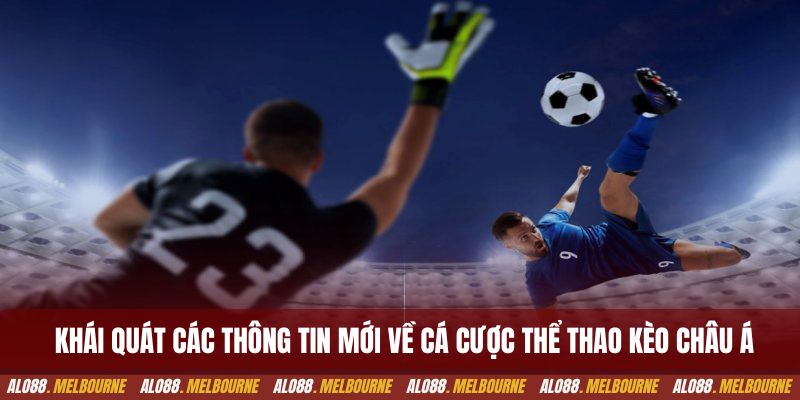 Khái quát các thông tin mới về cá cược thể thao kèo châu Á