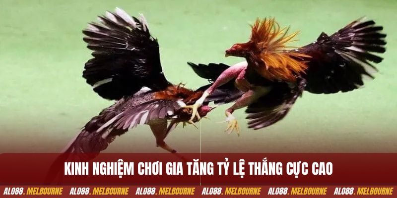 Kinh nghiệm chơi gia tăng tỷ lệ thắng cực cao