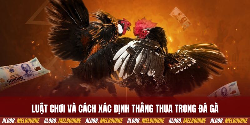 Luật chơi và cách xác định thắng thua trong đá gà